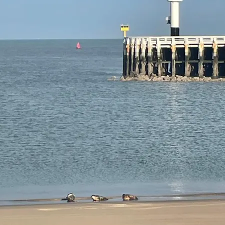 Lägenhet Seaview Penthouse *