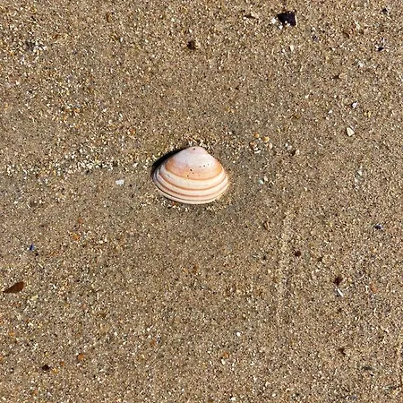 Lägenhet Seaview Penthouse